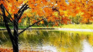 РАДОСТЬ Жанна Бичевская