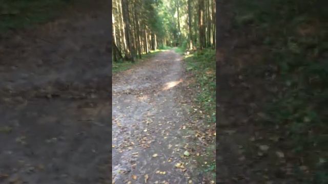 А вы помните...?(с последним днём лета) смотреть онлайн