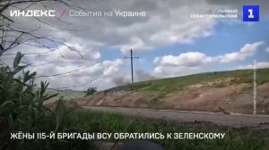 Жёны 115-й бригады ВСУ обратились к Зеленскому