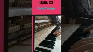 Dustin O'Halloran. OPUS 23 (Vertical Piano Rippen)