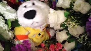 С днем рождения Карина!  Поздравление от Умки и Тошки