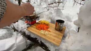 Одиночный поход в лес зимой