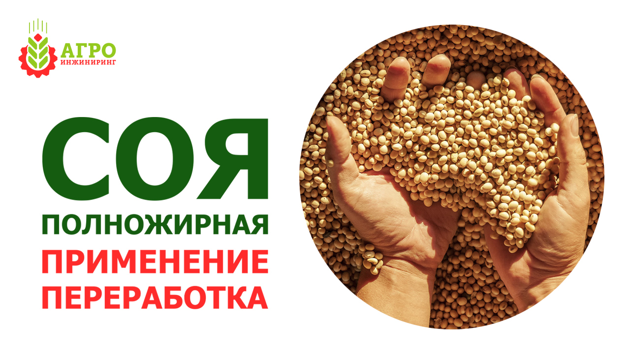 Соя полножирная, применение в животноводстве. Особенности переработки.