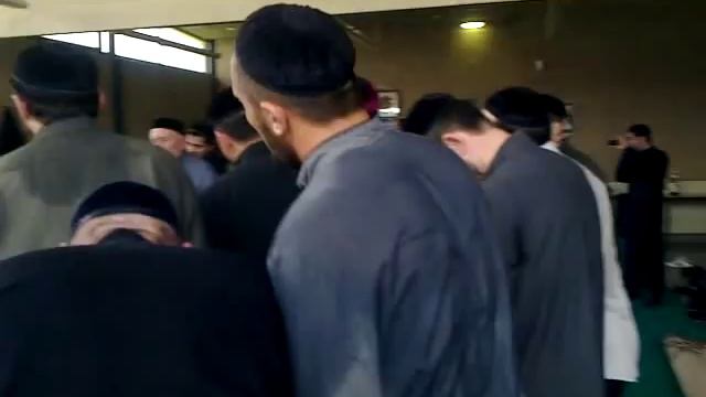 Зале зуькар смотреть онлайн