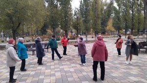 Я шикарная, дикая львица