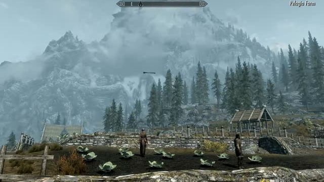 Skyrim Glitch: Floating weapon смотреть онлайн
