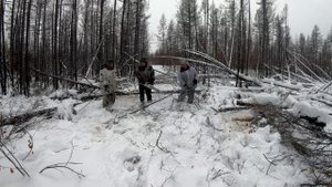 Промысел соболя в Якутии. Едем на рыбалку сквозь пожарище и завалы. Часть третья.