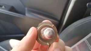 clearlight x-treme vision +150