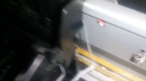 Принтер Epson. Шлейф оптопары.