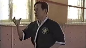ВИН - ЧУНЬ КУЕН ПАЙ ... Вьетнамский Вин чун Семинар №4