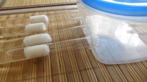 Муравьиная ферма своими руками#2