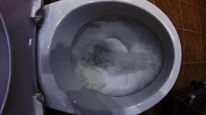 Смыв унитаза Jika Zeta (замедленная съемка)