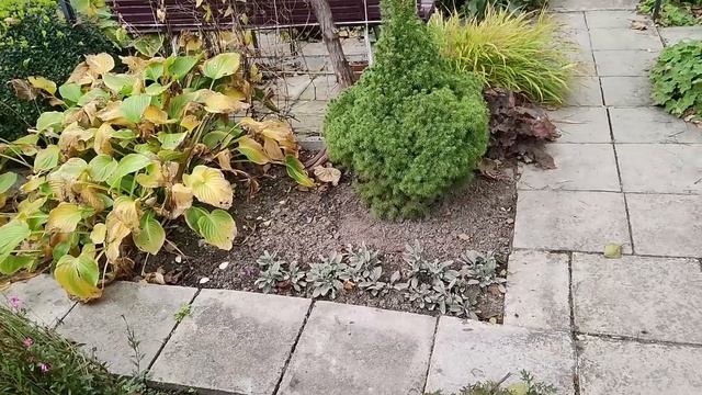 Работаю в саду, переделываю клумбы. 27.10.2022 г. Пятигорск. смотреть онлайн