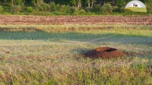 Бур НБУ 1300 для трактора Беларус 82 в работе.