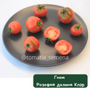 Гном Розовая долина Клэр