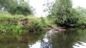 Угличское водохранилище  Грехов ручей