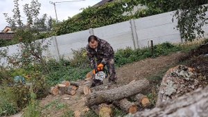 Первый раз в жизни пилю бензопилой. Stihl MS170 новый, еще на обкатке.