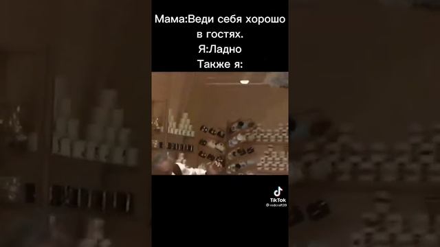 Когда мама попросила вести себя прилично в гостях #прикол