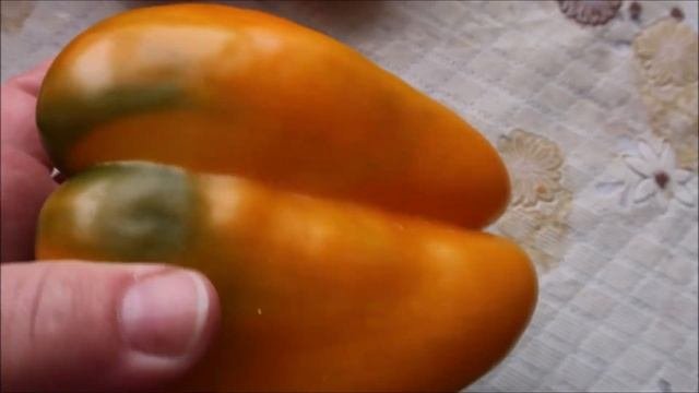 5 САМЫХ ВКУСНЫХ, СЛАДКИХ, ТОЛСТОСТЕННЫХ ПЕРЦЕВ