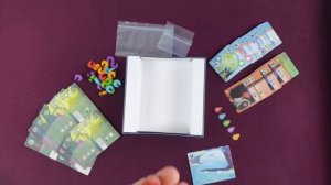 Wild Space -  Unboxing Artistico - Tranjis Games