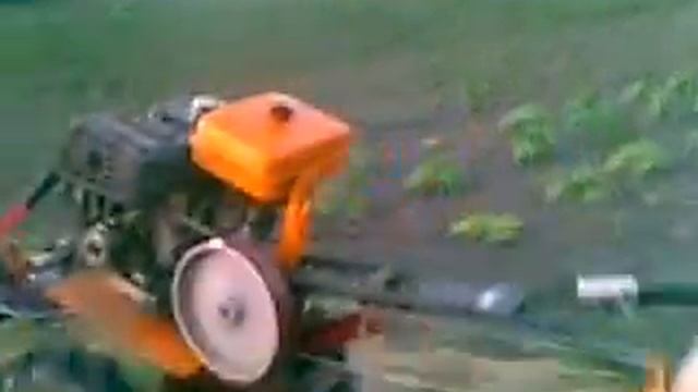 сельхозтуризм