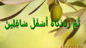 УСТОД АБУ СУХАЙБ