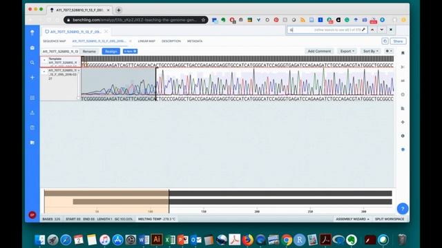 Sequence Analysis Protocol - Determine Genotype of ACTN3 - Benchling Netbook смотреть онлайн