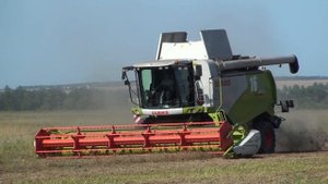 Уборка гороха CLAAS MEGA 360,TUCANO 450.