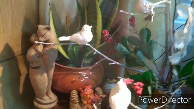 Обзор домашних цветов (часть 2), Тоша баловник смотреть онлайн