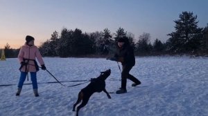 Обучение в Российской школе фигурантов