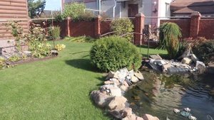 Баран. Как пожарить целого Барана на вертеле. Баран на вертеле..