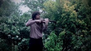 Swan Lake (Lac des cygnes) violin Лебединое озеро тема на скрипке