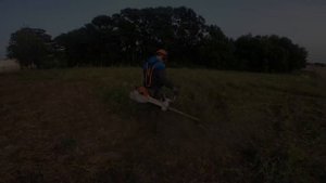 THE NEW 🚨STIHL FS-561🚨TEST 2022. 3,75HP BEAST GRASS CUTTING
