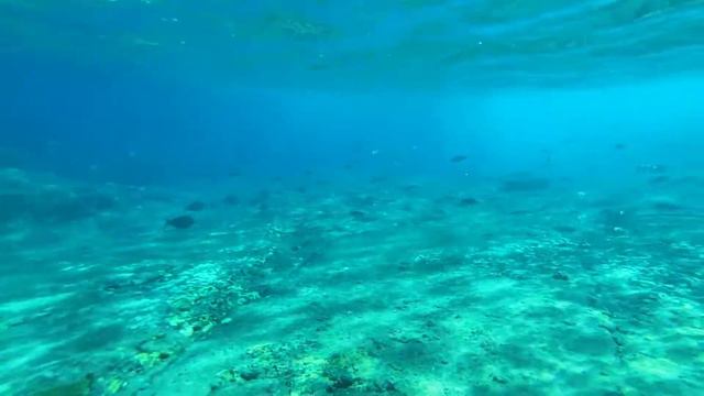 与那国島、海底遺跡