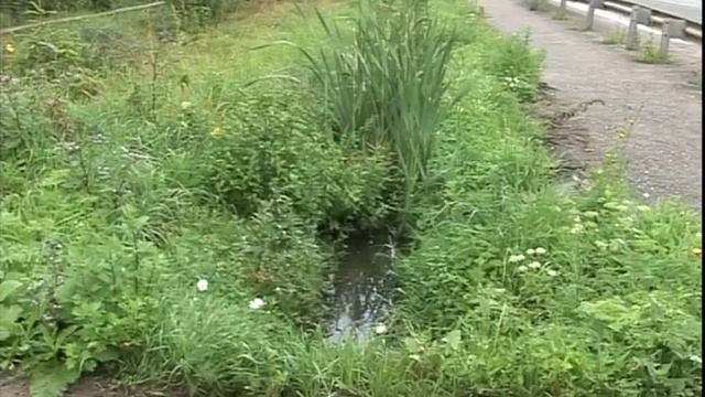 Зловонные реки – мусорные берега смотреть онлайн