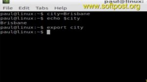 How to export environment variable in Linux