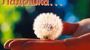 Села мошка на ладошку ай