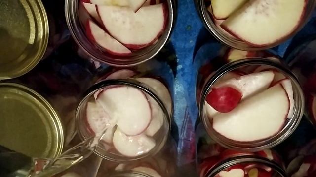 ВКУСНАЯ ЗАКУСКА - МАРИНОВАННЫЙ РЕДИС