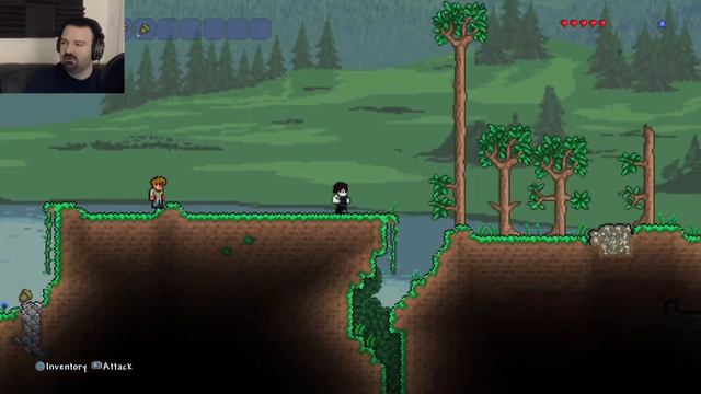 This Is How You Don't Play Terraria смотреть онлайн