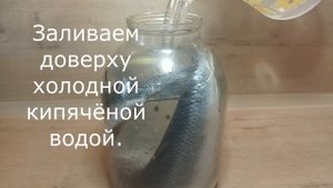 Как засолить селёдку за пару минут. Соленая рыба в домашних условиях.