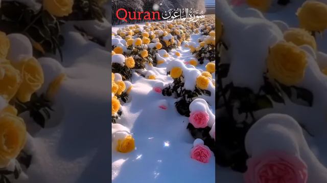 Quran Allah Ki RezaTV Quran. Urdu Tarjuma. Surah Al maun Number 107