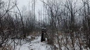 18 ЧАСТЬ HUNT/НОВЫЕ ИЗОЛЯТОРЫ В КОЛЛЕКЦИЮ и СНОВА МНОЖЕСТВО КОРЕЙСКИХ ИЗОЛЯТОРОВ.[INSULATOR HUNT]
