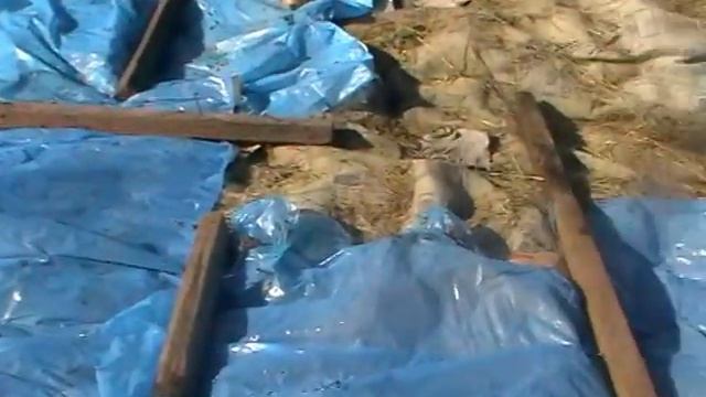 Как разработать заброшенный участок//С чего мы начинали? смотреть онлайн