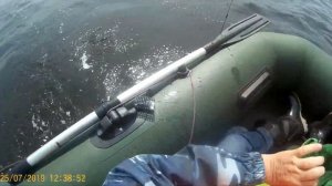 Долгожданный клёв леща на подьём воды