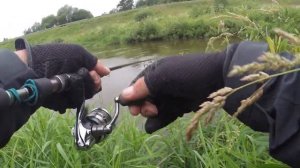 ГОЛАВЛЬ на МАЛОЙ РЕКЕ! ДЕНЬ РЫБАКА! Ловля голавля на спиннинг летом!