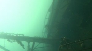 Дайвинг в Кольском заливе