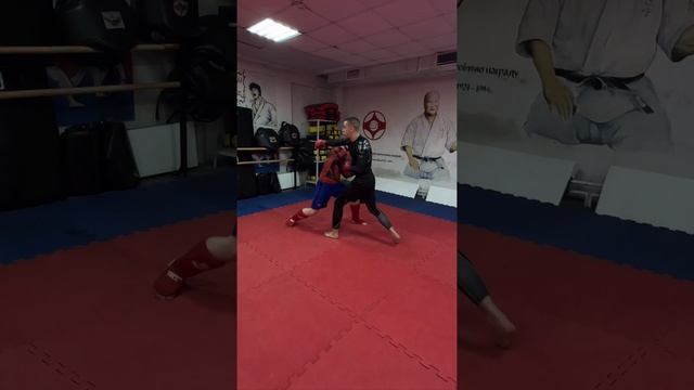 Наши ребятки
