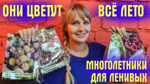 ЦВЕТЫ ДЛЯ ЛЕНИВЫХ! Цветут КРАСИВО, ухода НЕ ТРЕБУЮТ! Привезли КЛАССНЫЕ МНОГОЛЕТНИКИ в ЦВЕТОК.ШОП