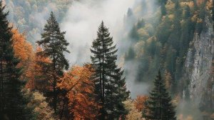 Вновь пора дождей настала Ирина Шорина