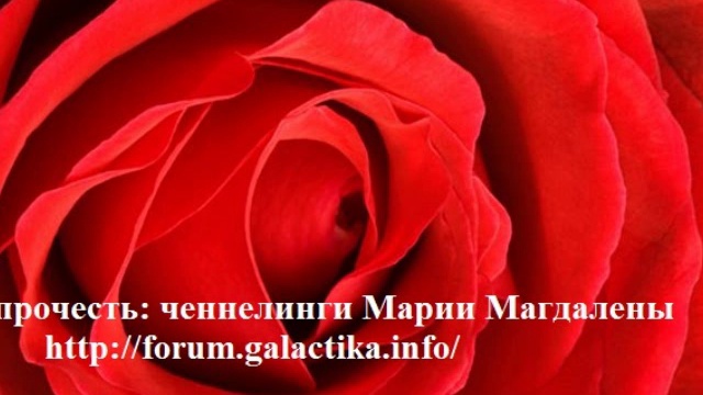 Новая Программа Земли
